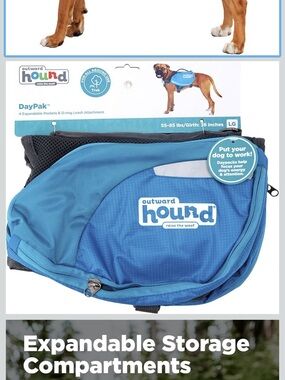 Outward Hound Blue Dog DayPak Backpack with D-Ring